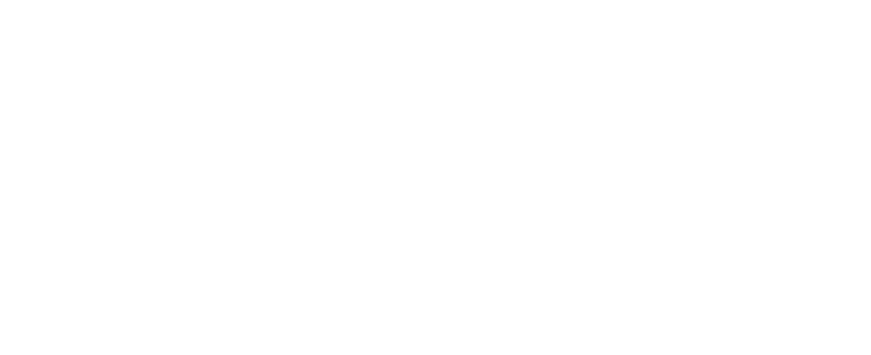 Odoo Partner