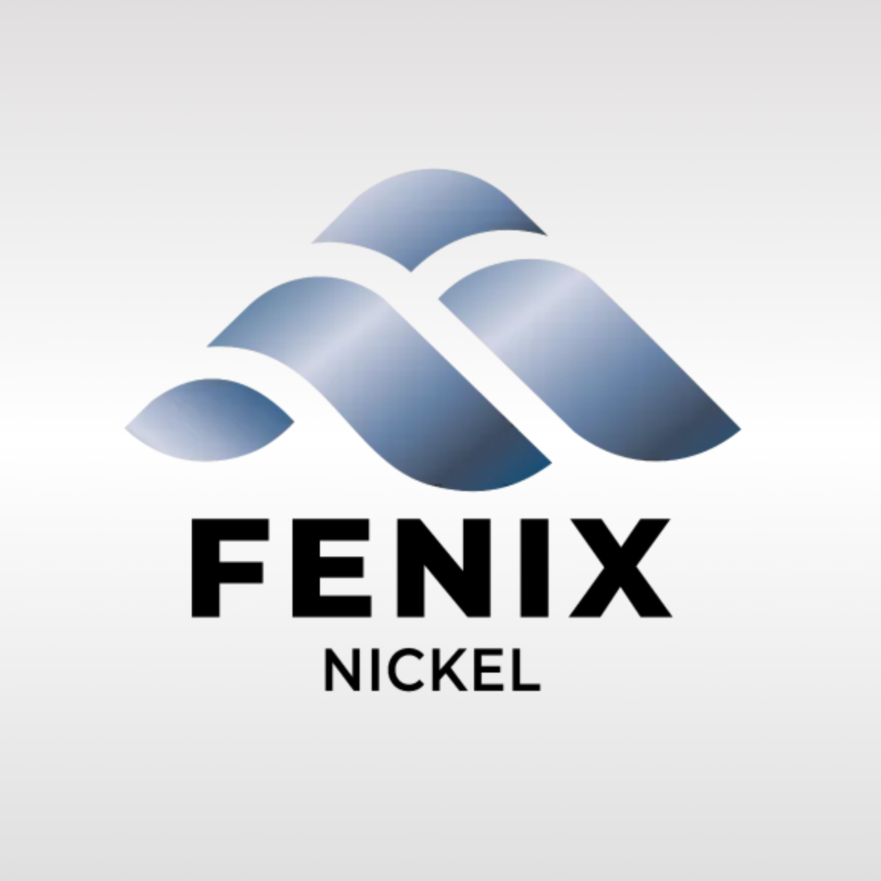 Logo Fenix